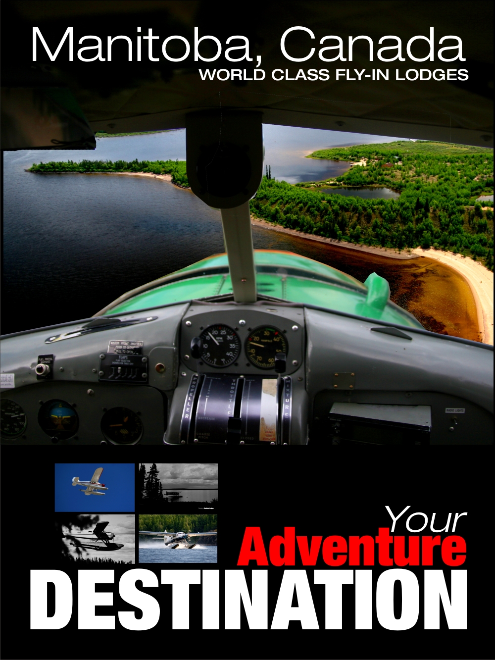 FLY IN POSTER