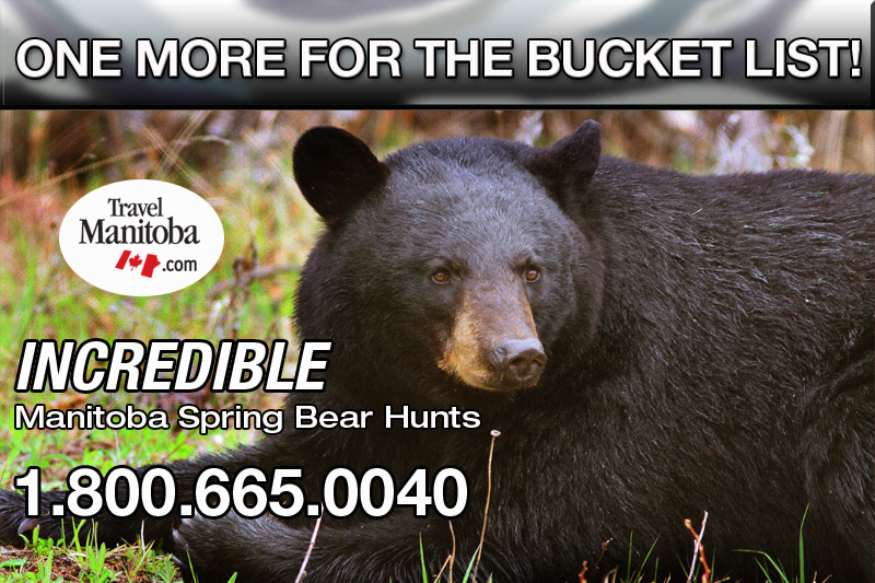 spring bear hunts